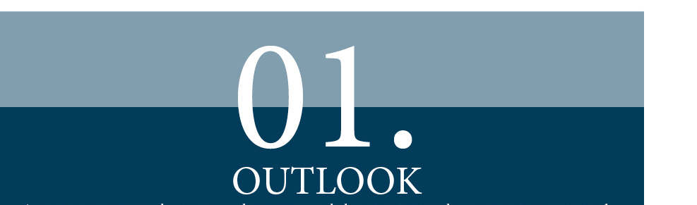 Hawkins-Poe Monthly Newsletter Outlook February 2024